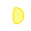 vedro