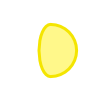 vedro