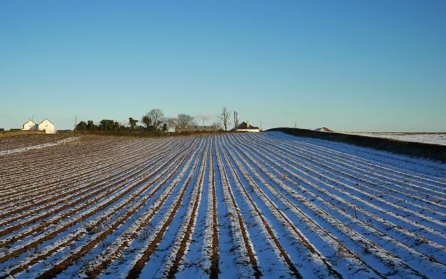 Utjecaj snijega na poljoprivredne kulture