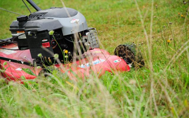 Pomoću organskog malča spriječite isušivanje tla