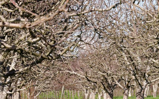 Vrijeme je za zimsko prskanje!