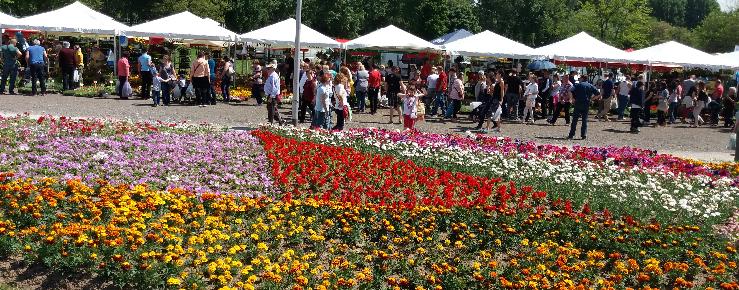 Cvjetna raskoš na Floraart-u