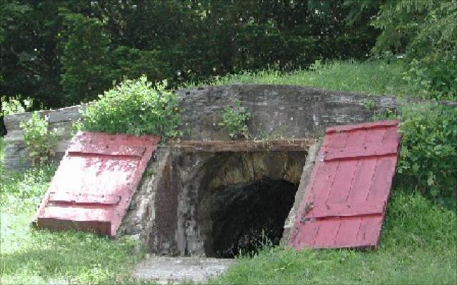 Pravilno čuvanje voća i povrća tijekom zime