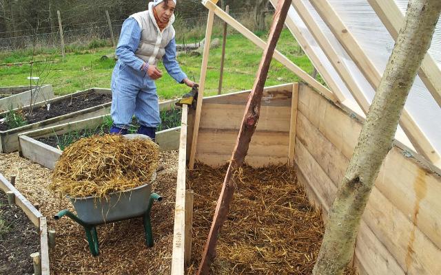 Rana proizvodnja presadnica u klijalištima
