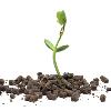 Organskim gnojivima popravljamo kvalitetu tla